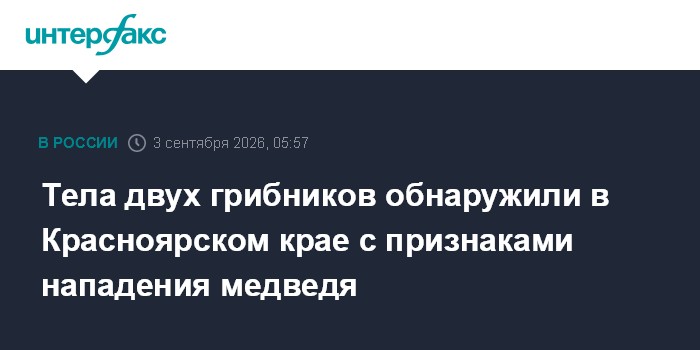 Тела двух грибников обнаружили в Красноярском крае с признаками нападения медведя