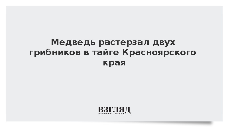 Две женщины погибли при нападении медведя в лесу под Красноярском