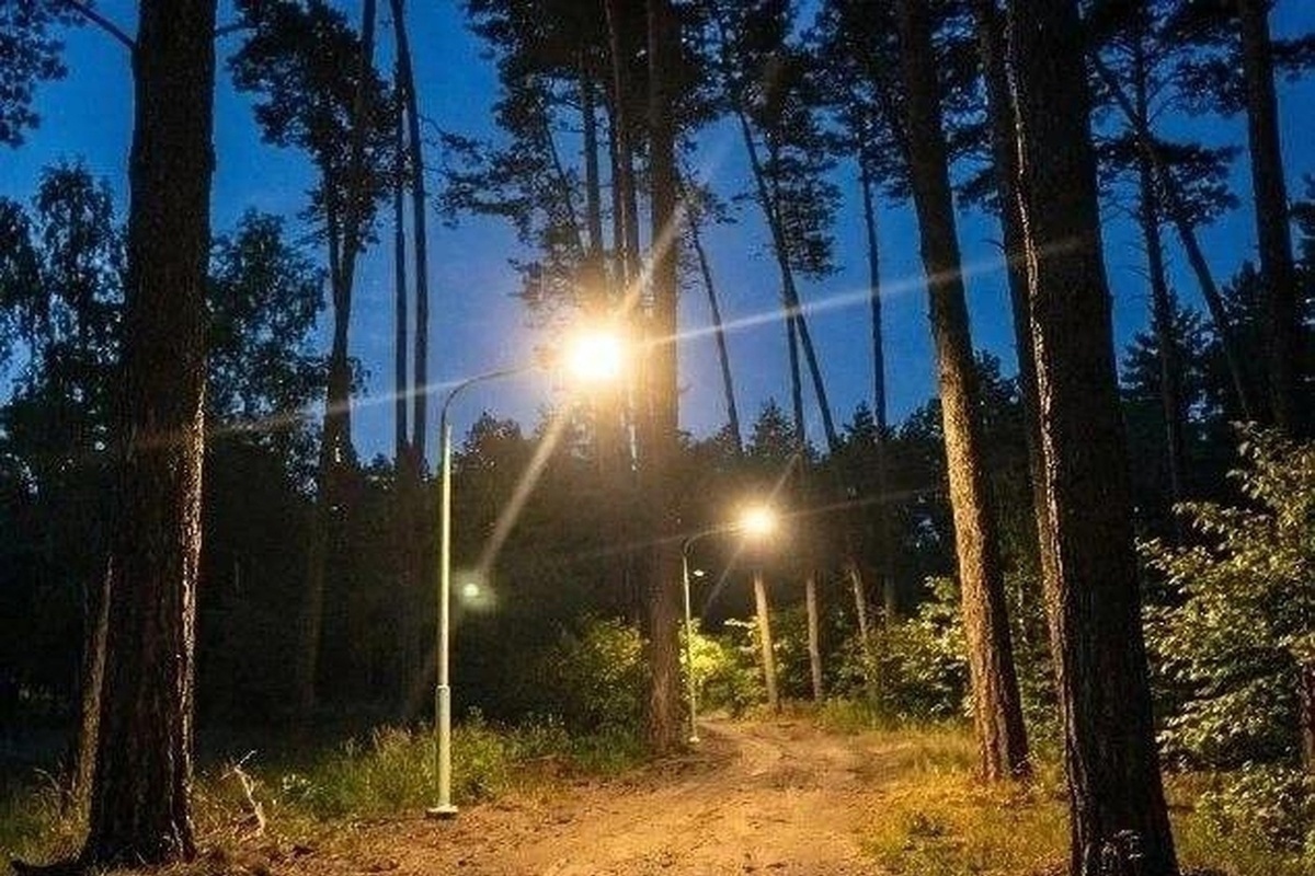 В Петровске завершилось благоустройство лесопарка