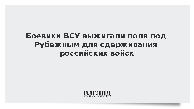 Боевики ВСУ выжигали поля под Рубежным для сдерживания российских войск