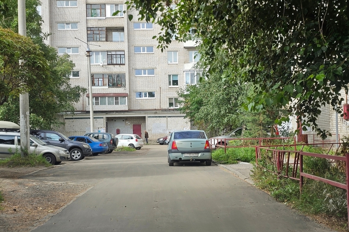 В Архангельске взяли на контроль ситуацию с крысами в доме на Воскресенской