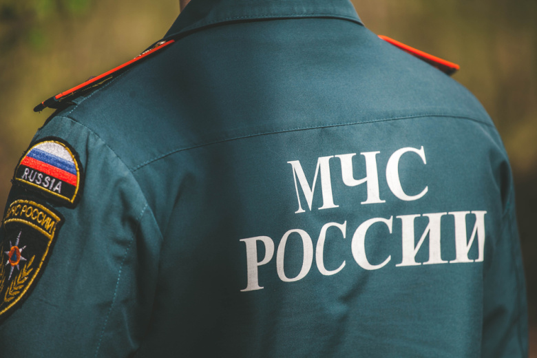 Растерзанные тела ушедших за грибами пенсионерок нашли глубоко в лесу