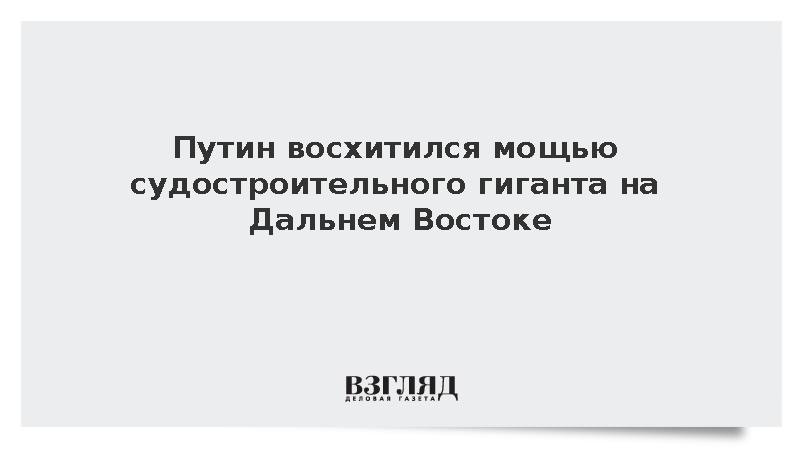 Путин высоко оценил производство судостроительного комплекса «Звезда»