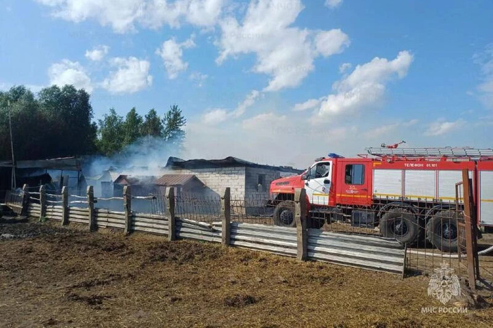 В Орловском округе тушили надворные постройки