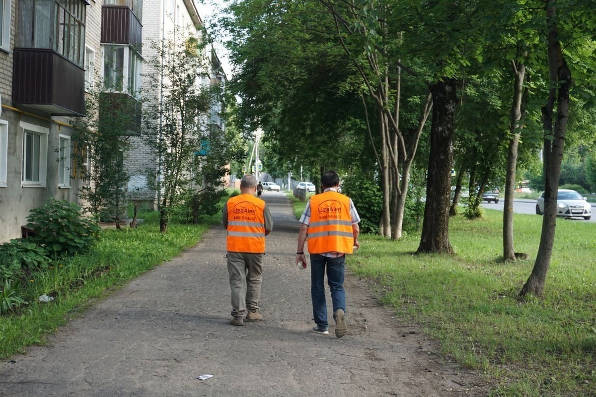 Более 1300 спасенных жизней: «ЛизаАлерт» в Марий Эл отмечает восьмилетие
