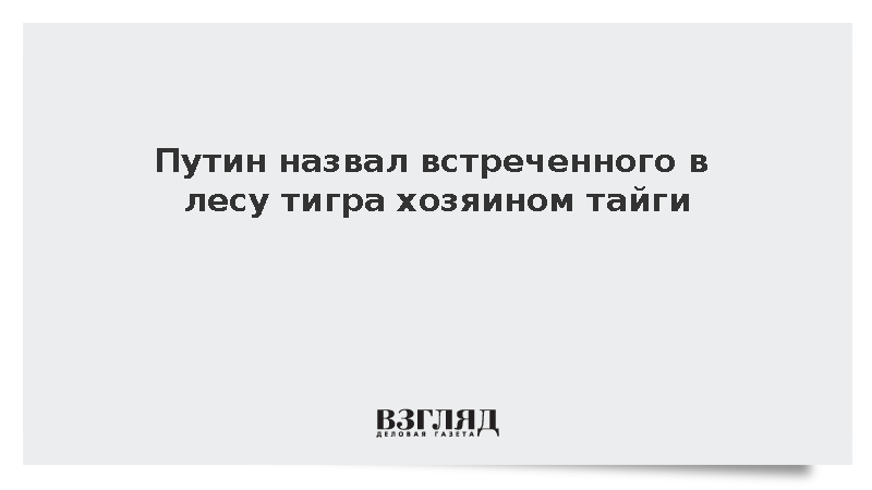 Путин назвал встреченного в лесу тигра хозяином тайги