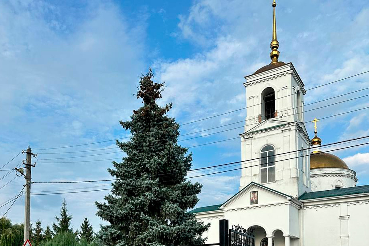 Глава Липецка на страже дорожного порядка