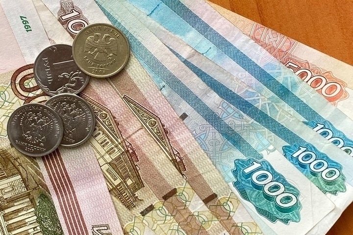 В Рязанской области мамы получат детские пособия при ликвидации фирмы