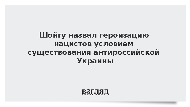 Шойгу назвал героизацию нацистов условием существования антироссийской Украины