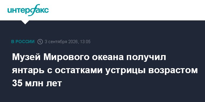 Музей Мирового океана получил янтарь с остатками устрицы возрастом 35 млн лет