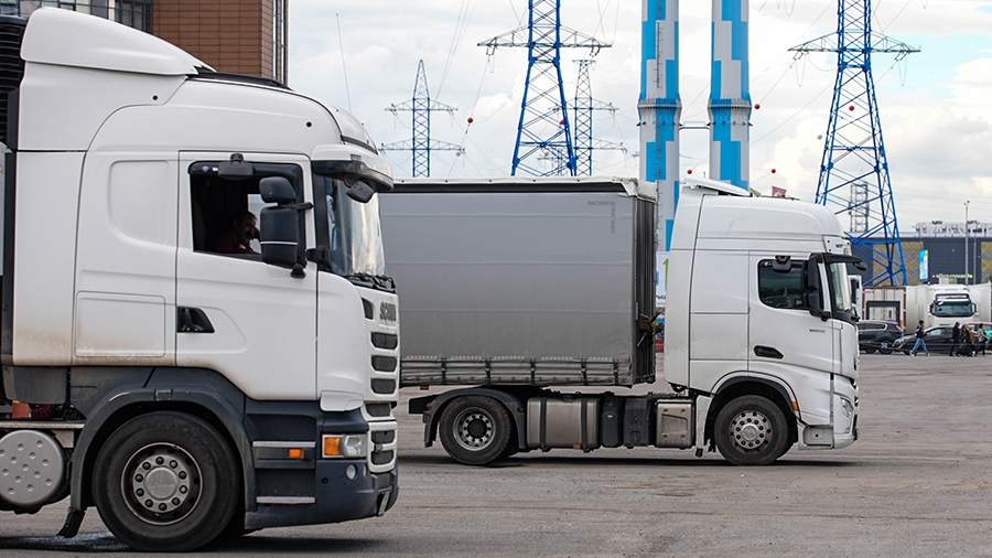 Грузия с 1 мая по 10 августа экспортировала в Россию свыше 90% урожая голубики