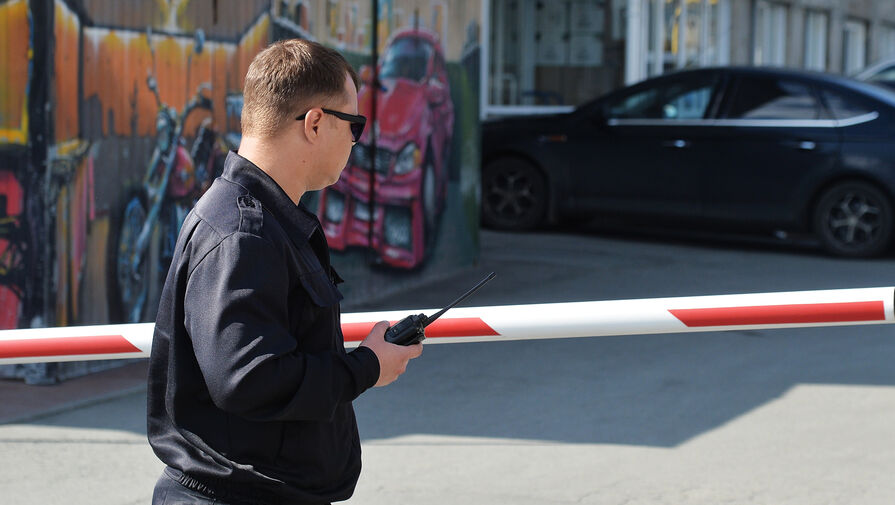 В Госдуме предложили правительству разработать новую систему охраны школ