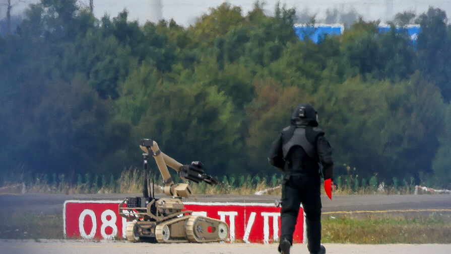 В Европе посоветовали сходить к врачу обвиняющим Россию в инциденте с дроном в Германии