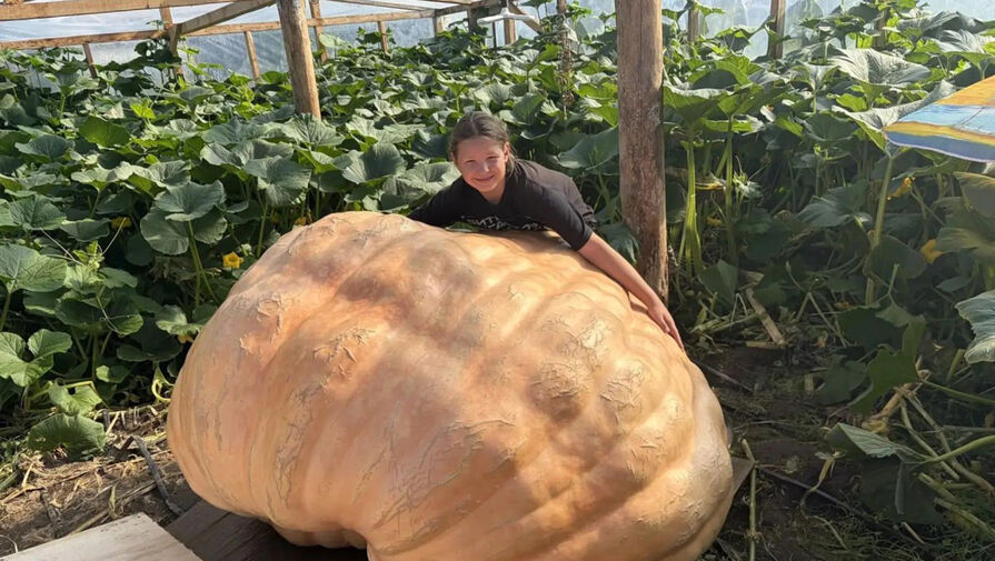 Школьник из Иркутской области вырастил гигантскую тыкву