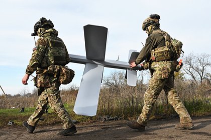 Результативность «смотрящего сквозь деревья» «Ланцета» объяснили