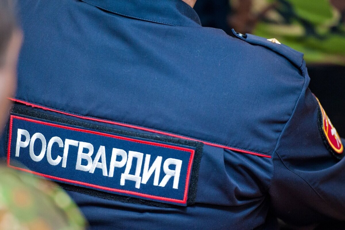 В Волгограде и Камышине росгвардейцы пресекли ряд правонарушений