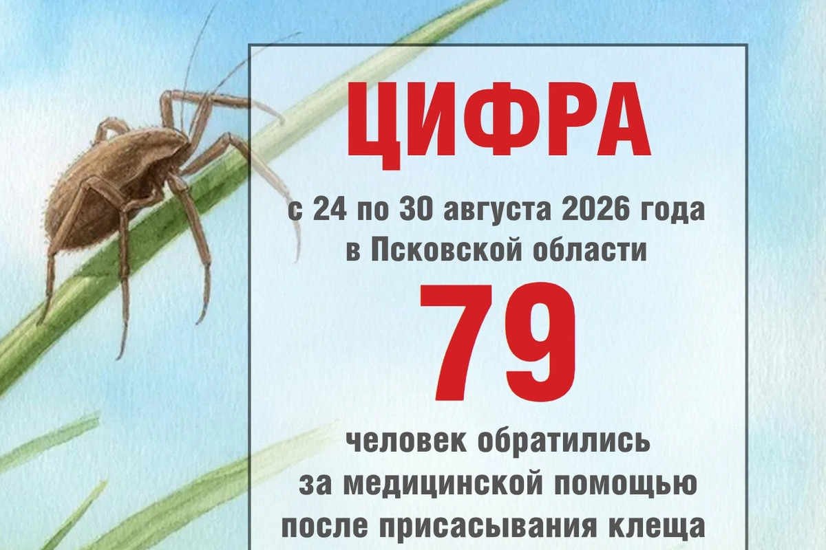 С начала сезона в Псковской области от клещей пострадали более 2 тысяч человек