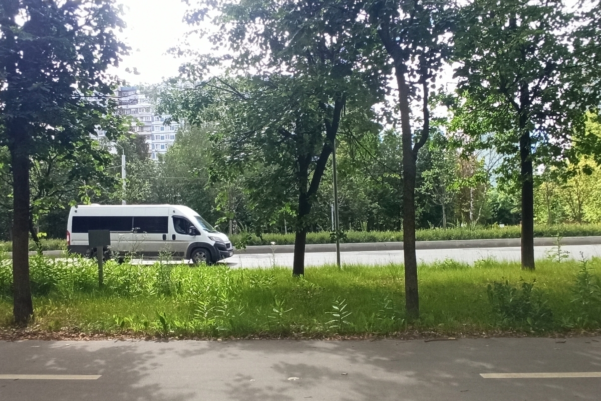 В Костроме на линию выйдут дополнительные автобусы для проведения «Серебряной ладьи»