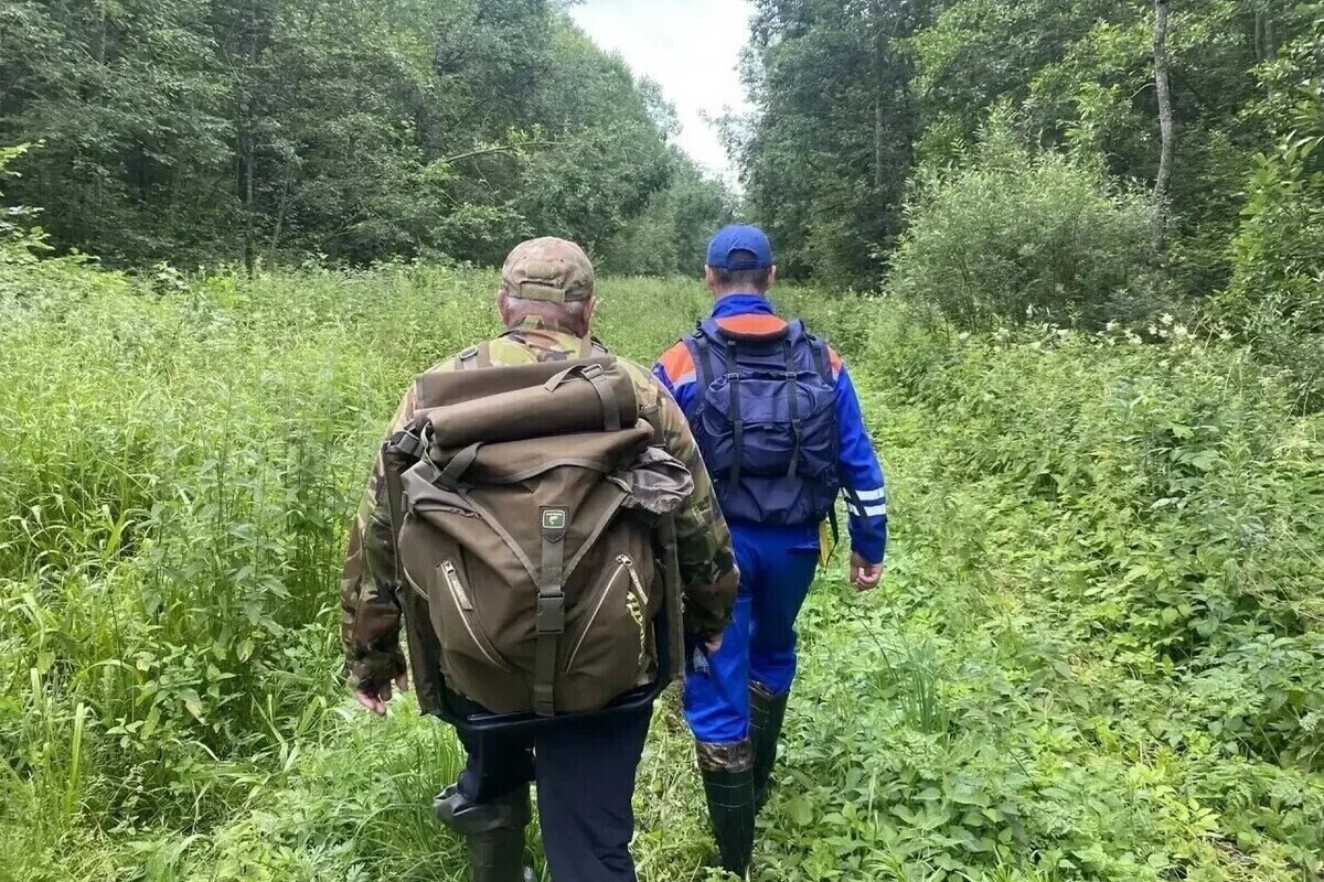 За сутки в Ленобласти спасли 12 заблудившихся и ликвидировали 9 пожаров