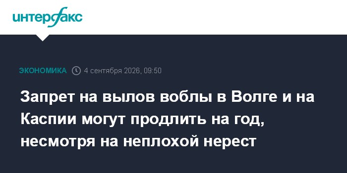 Запрет на вылов воблы в Волге и на Каспии могут продлить на год, несмотря на неплохой нерест