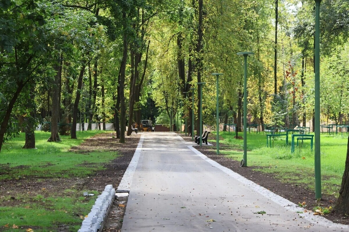В рязанском ЦПКиО сделают детскую площадку с водной игровой зоной и амфитеатром