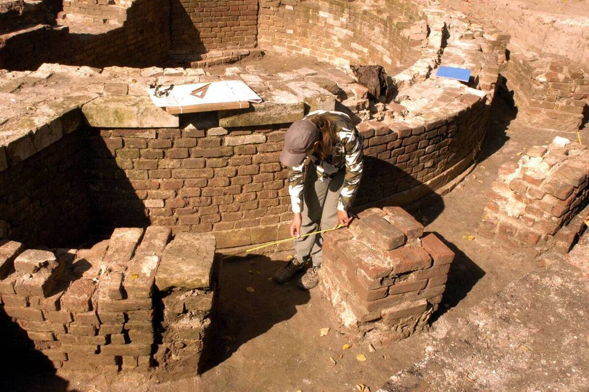 Археологи нашли гробницу с останками 450 мышей и заподозрили "мышиный культ"