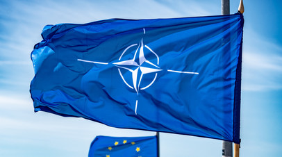 Дисен: в НАТО не стали критиковать Зеленского после угроз в адрес авиации