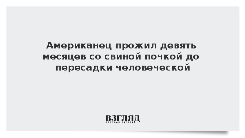 Американец прожил девять месяцев со свиной почкой до пересадки человеческой