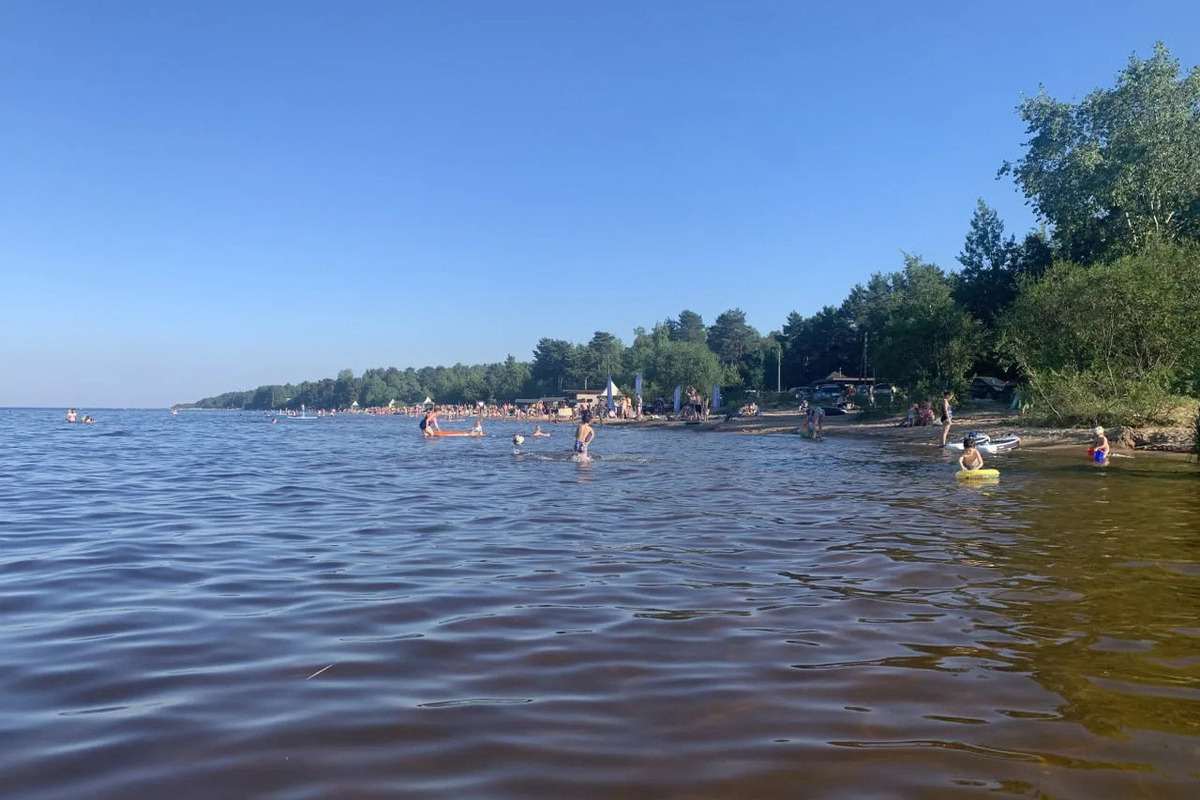 Ладога сильно обмелела: за два года вода ушла от берега почти на метр