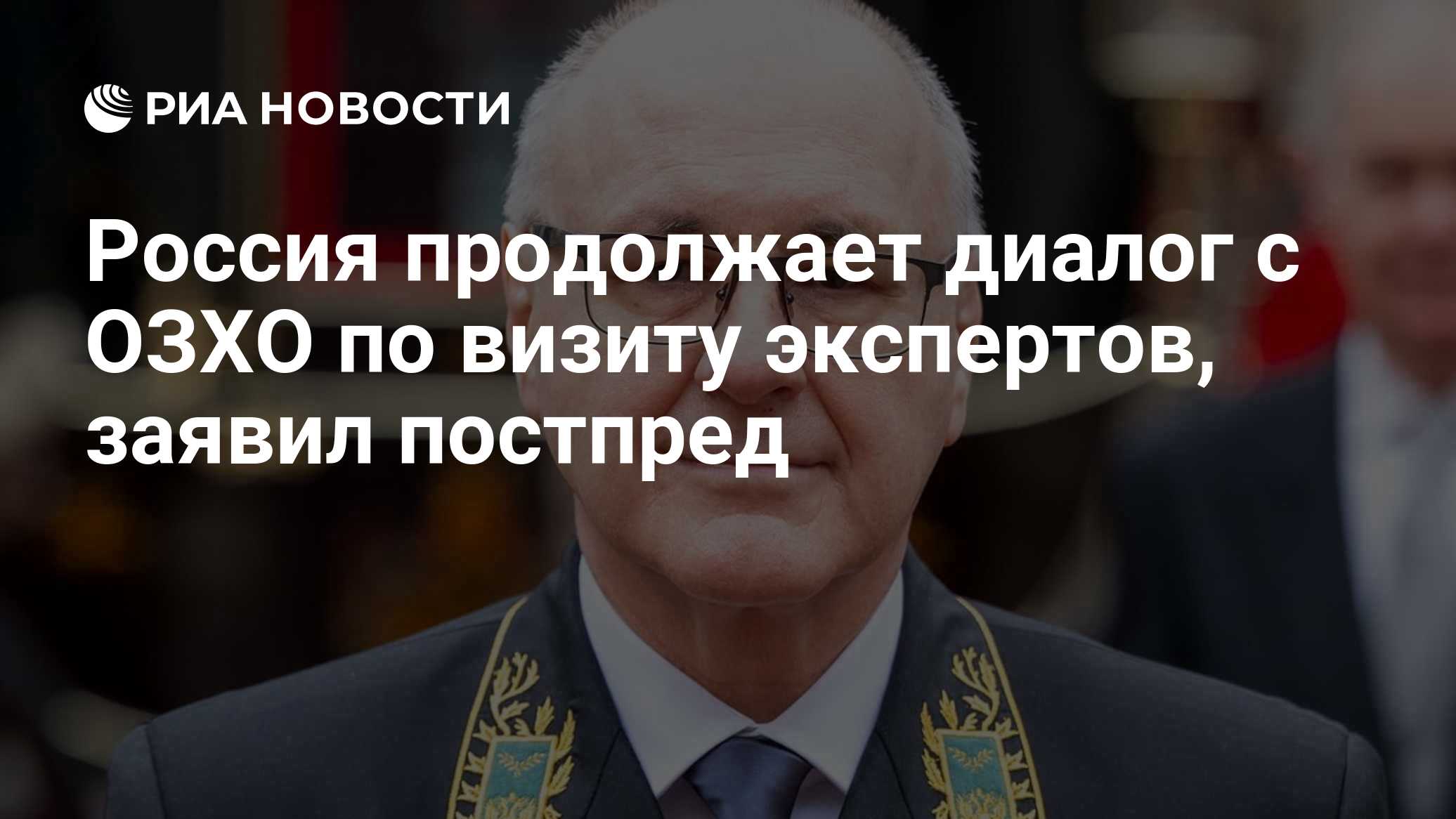 Россия продолжает диалог с ОЗХО по визиту экспертов, заявил постпред