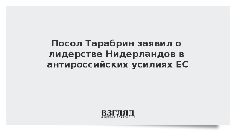 Посол Тарабрин назвал Нидерланды инициатором антироссийских мер в ЕС
