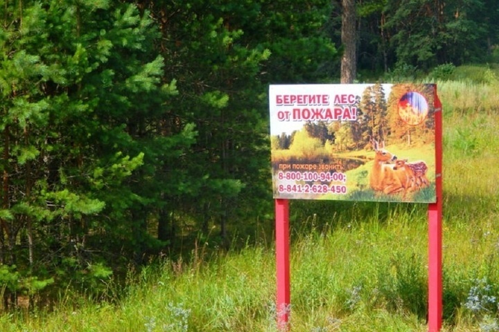 В Пензенской области усилили патрулирование лесов из-за жары