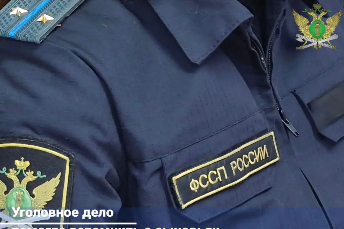 Алиментщик из Жердевки трудоустроился после уголовного дела