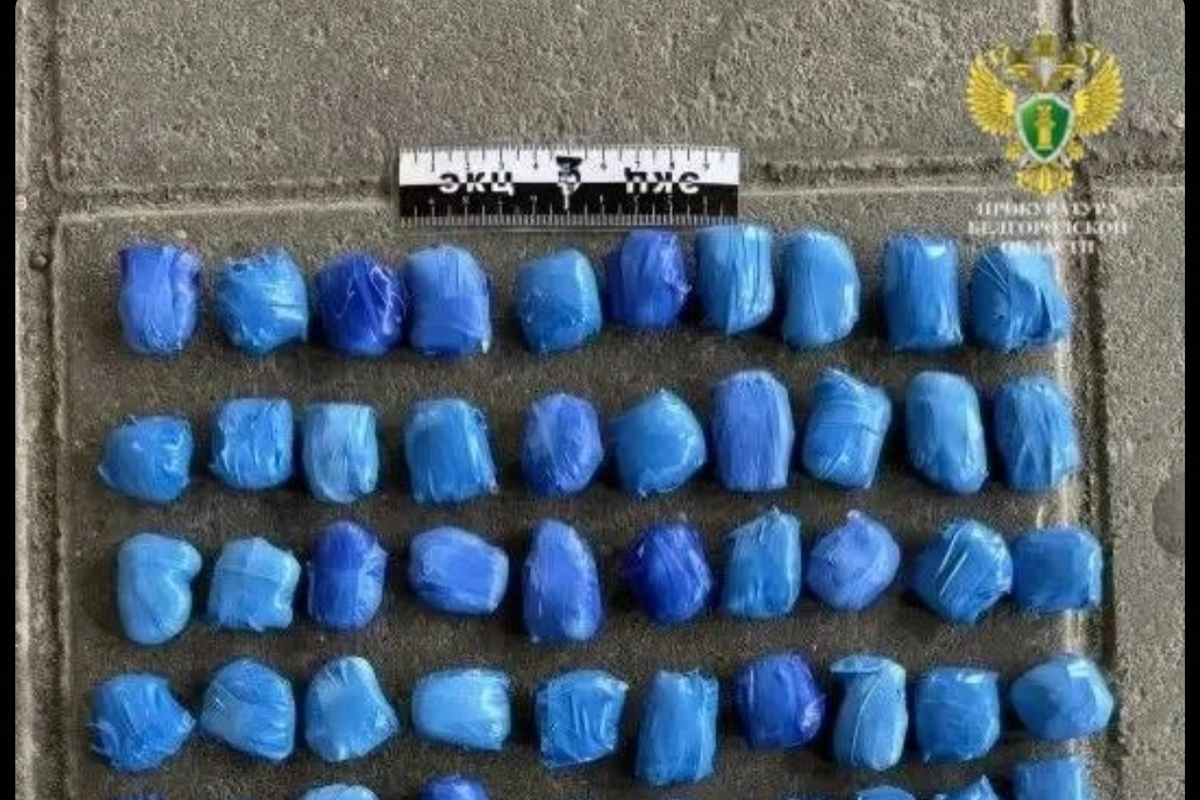 Два молодых белгородца отправятся в колонию за 241 сверток с наркотиками
