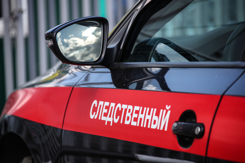 СК начал расследование после исчезновения 16-летней девушки под Ульяновском