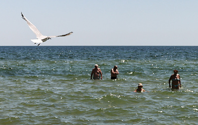 Соленость Азовского моря дошла до исторического максимума