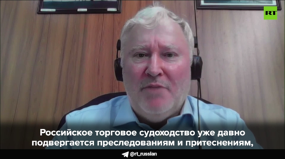 Профессор Саймонс: у России иссякло терпение в отношении «тявкающих мосек»