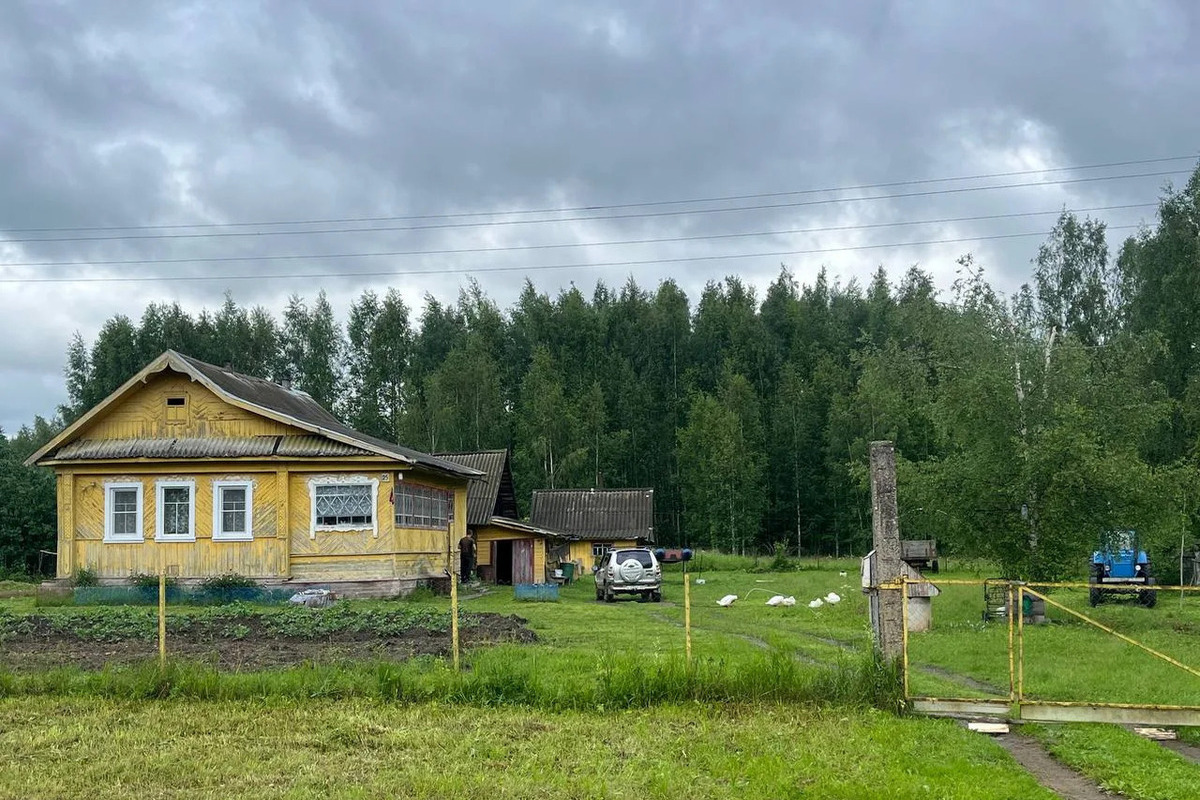 Новгородцам назвали мел надежным способом борьбы с грибком в дачных домиках