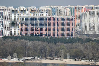 В России объяснили приостановку ударов по Киеву на фоне визита спецпосланников Трампа