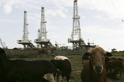 Сделка США и Венесуэлы напугала американские нефтяные компании