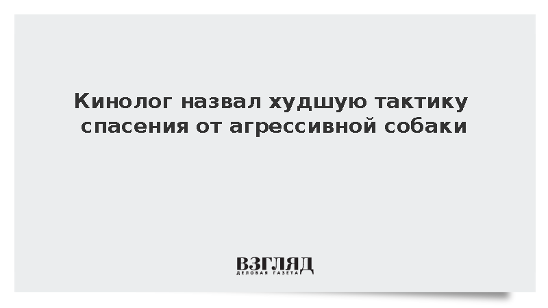 Кинолог назвал худшую тактику спасения от агрессивной собаки