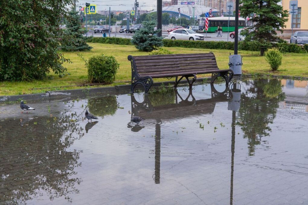 Тепло, но с дождями будет в воскресенье на Южном Урале
