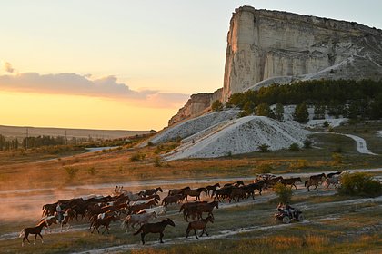 Крым сравнили с Канарскими островами