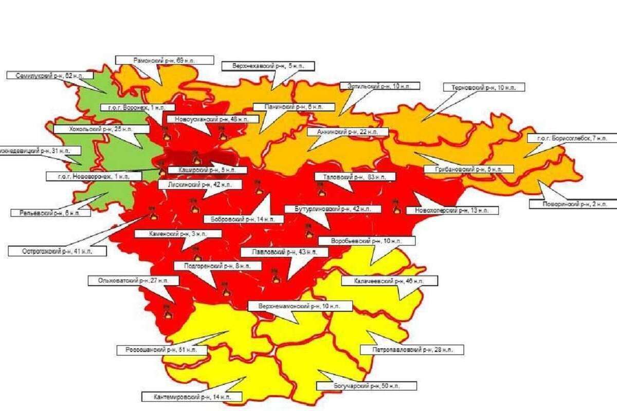 В Воронежской области выросло число районов с V классом пожарной опасности