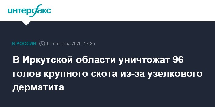 В Иркутской области уничтожат 96 голов крупного скота из-за узелкового дерматита