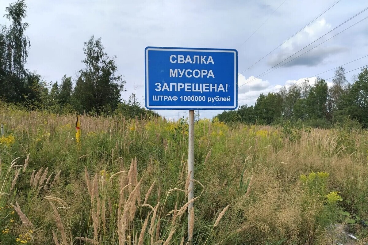 Земля вздохнула свободнее после уборки четырех свалок во Мгинском поселении
