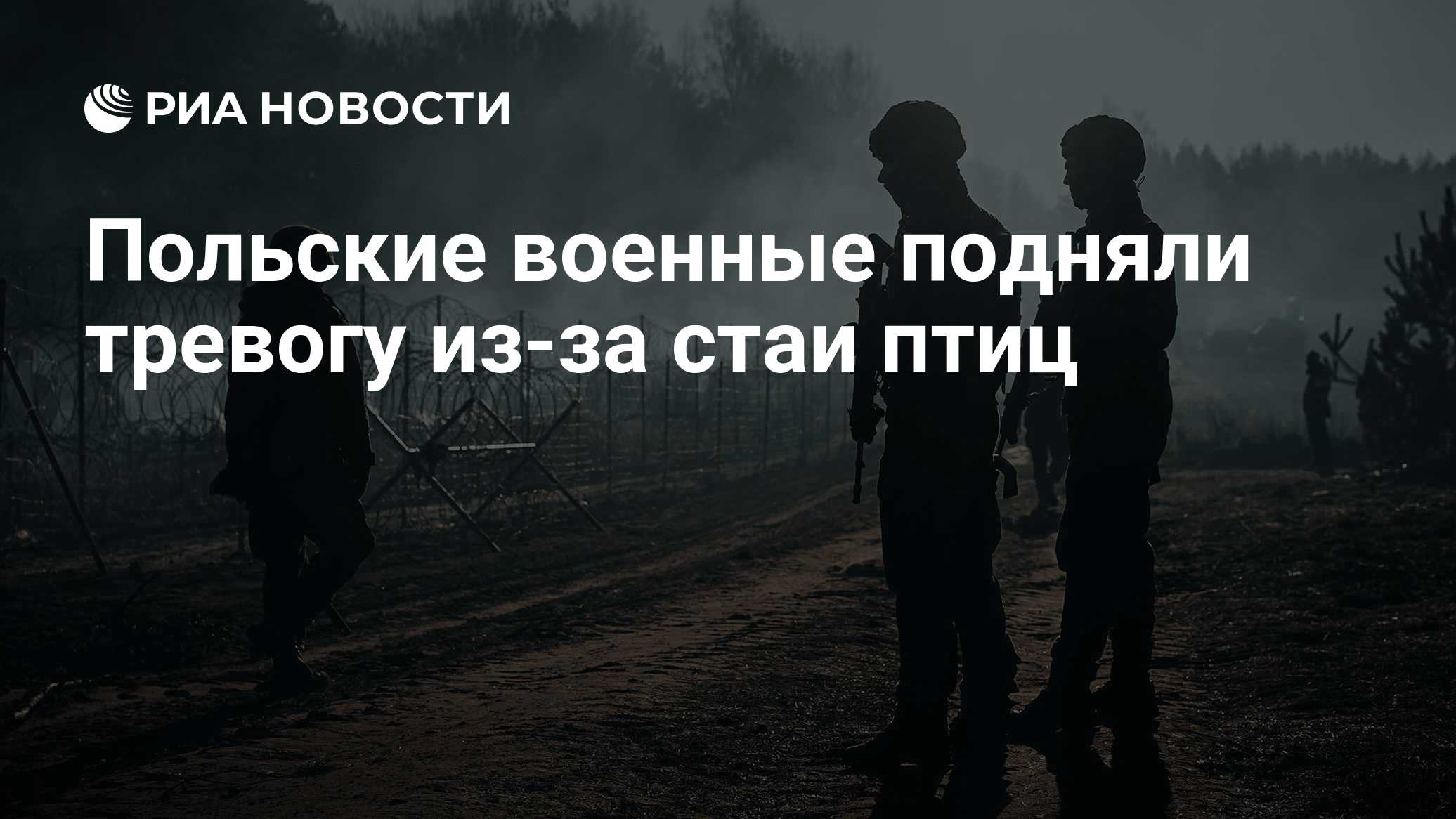 Польские военные подняли тревогу из-за стаи птиц