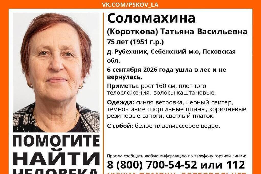 Поисковый отряд «ЛизаАлерт» Псковской области ведёт поиски 75‑летней Татьяны Соломахиной