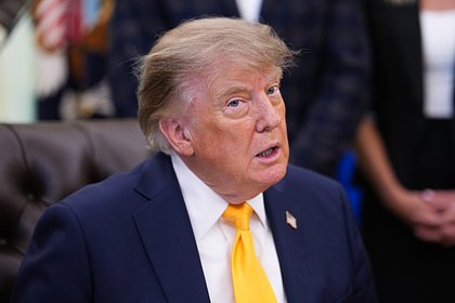 Раскрыт план Трампа по Украине
