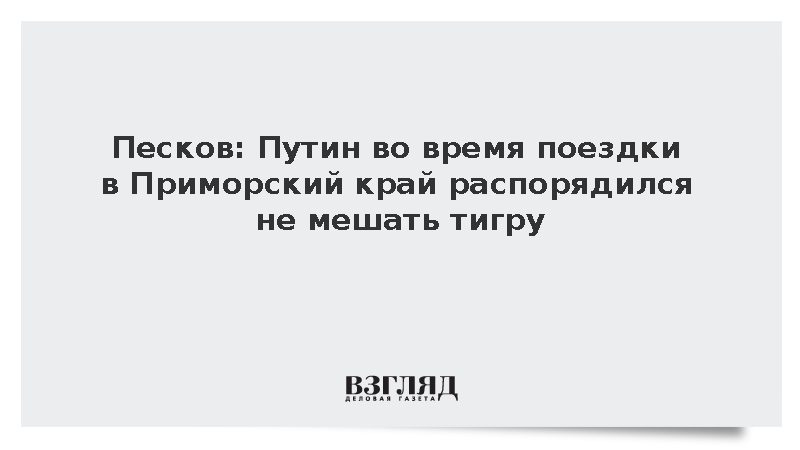 Песков: Путин во время поездки в Приморский край распорядился не мешать тигру